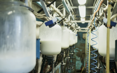 European dairy trade association backs EU-Mercosur agreement for member companies