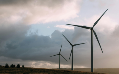 Wind Energy Ireland outlines strategy to anchor green business growth