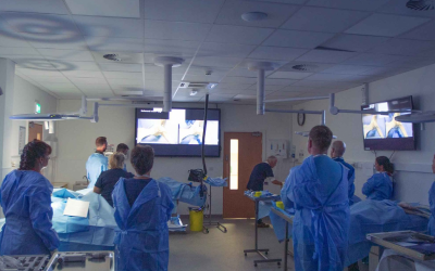 Premier Skills Institute opens in Thurles to advance veterinary professional development