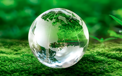 Irish firms expand sustainability focus with stronger strategic integration