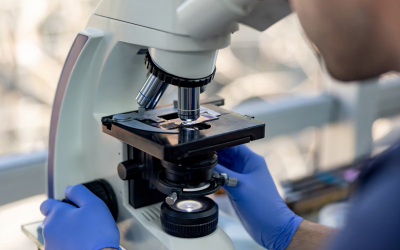 Private labs process bulk of CervicalCheck samples as public capacity lags