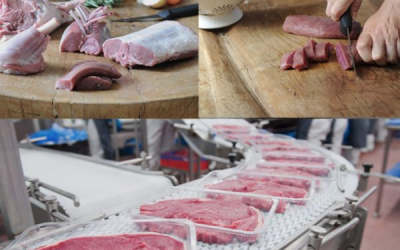 Kepak modernises operations through Microsoft-powered digital transformation