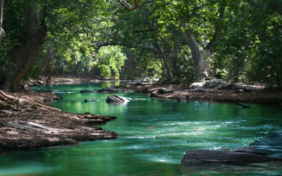 Sustainability takes root in medtech with new green labs course