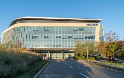 Regeneron’s $256m genetics play signals a deeper bet on precision health