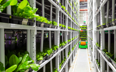 Productive Continuity