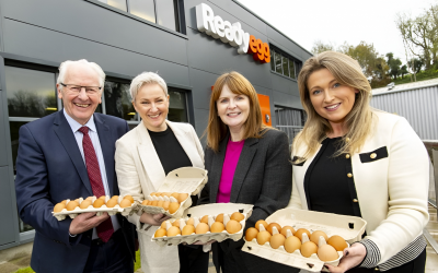 Ready Egg boosts operational excellence with £2.9 million automation investment