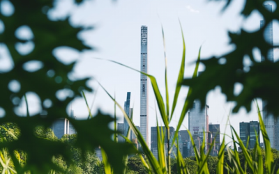 Measuring Up: How Digital Carbon Reporting Is Becoming the Building Sector's Most Powerful Competitive Edge