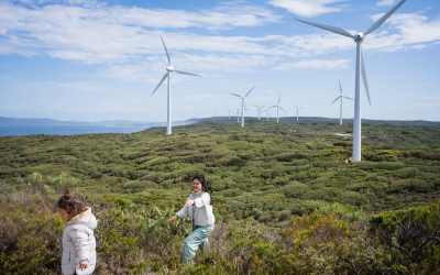 Renewables growth must protect nature too