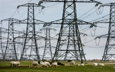 Majority of NI businesses stuck with energy suppliers despite cost pressures