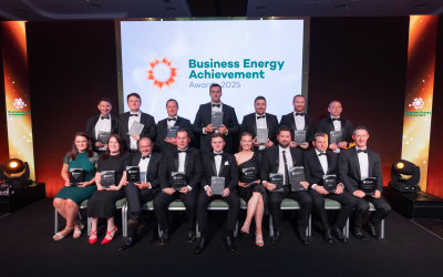 Relive the Highlights of the Business Energy Achievement Awards 2025