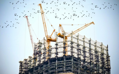 Building Momentum Accelerates