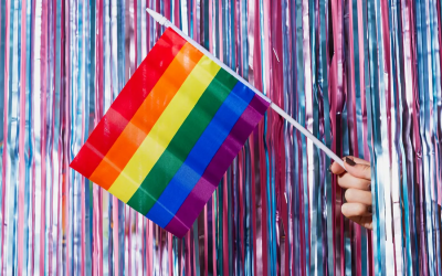 Louth County Council allocates €100,000 for LGBTQ+ inclusion project