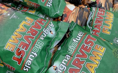 Arigna Group advances green products with new investment