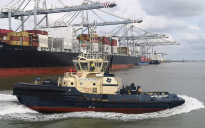 DP World boosts carbon inset credits to accelerate supply chain decarbonisation