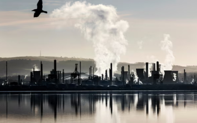 Grangemouth’s green future could redefine UK energy transition