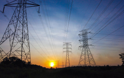 Power Grid Corporation achieves 50 percent green energy consumption