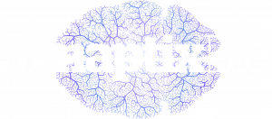 SynaptixBio: Amplifying rare disease awareness