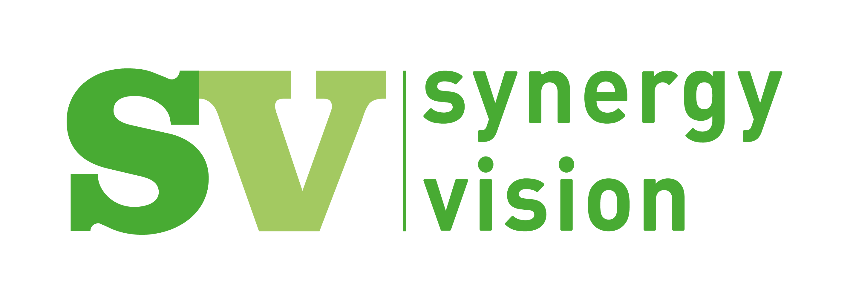 Synergy Vision Synergy Vision