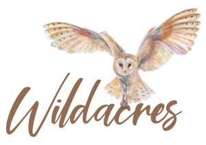 Wildacres