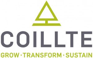 Coillte & Cobblestone Learning - Electricity Awareness eLearning Course