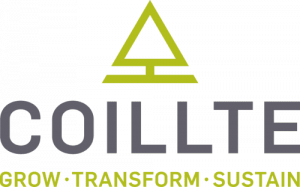 Coillte & Cobblestone Learning - Electricity Awareness eLearning Course
