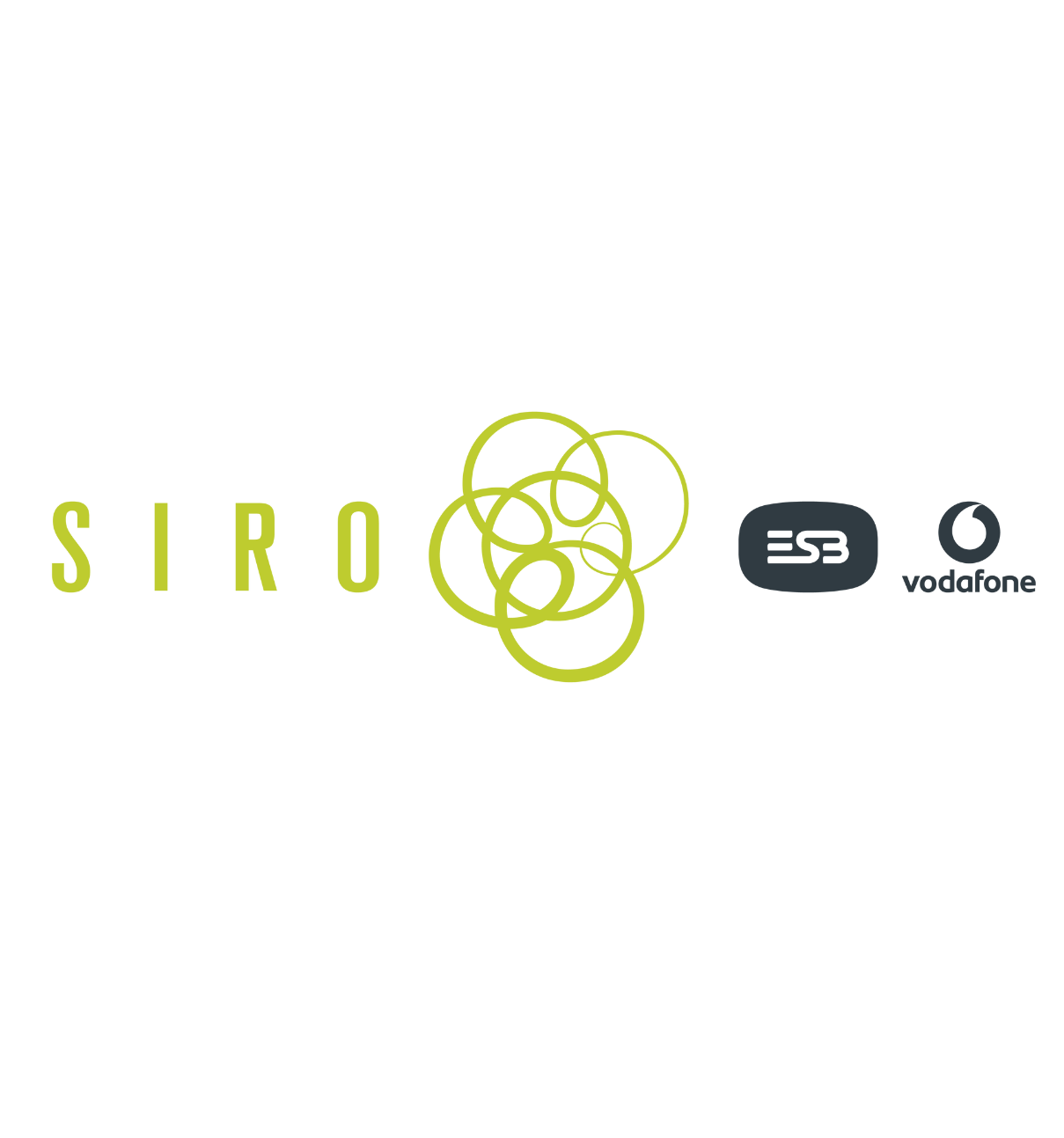 SIRO - Suzanne Tracy SIRO - Suzanne Tracy