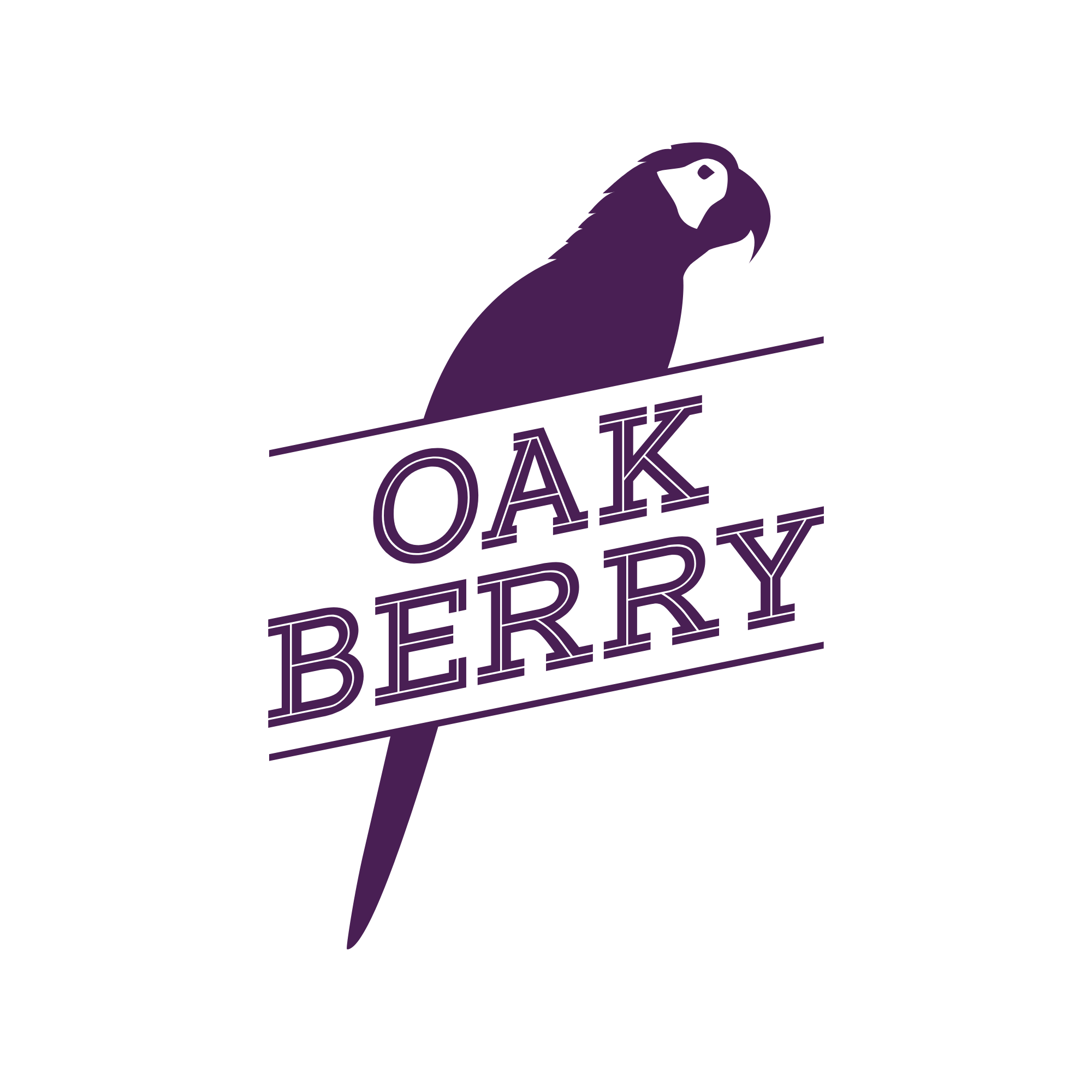 OAKBERRY Ireland - Operations Team
